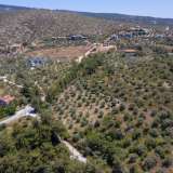  For Sale - (€ 0 / m2), Agricultural 4556 m2 Thasos 8099246 thumb9