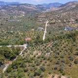  For Sale - (€ 0 / m2), Agricultural 4556 m2 Thasos 8099246 thumb8
