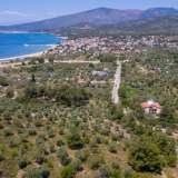  For Sale - (€ 0 / m2), Agricultural 4556 m2 Thasos 8099246 thumb6