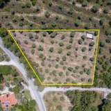  For Sale - (€ 0 / m2), Agricultural 4556 m2 Thasos 8099246 thumb2