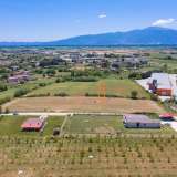  For Sale - (€ 0 / m2), Agricultural 7848 m2 Drama 8099025 thumb0