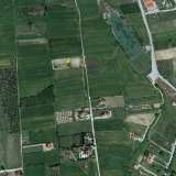  For Sale - (€ 0 / m2), Agricultural 5375 m2 Lefkonas 8099250 thumb3