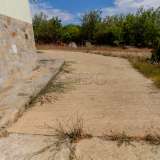  House with 2 bedrooms and 2500 sq.m. land, 18 km from nearest sandy Beach and the Sea Obzor city 6099253 thumb67