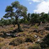  For Sale - (€ 0 / m2), Agricultural 6591.49 m2 Thasos 8099261 thumb2