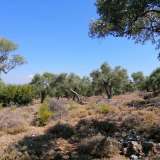  For Sale - (€ 0 / m2), Agricultural 6591.49 m2 Thasos 8099261 thumb4