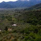  For Sale - (€ 0 / m2), Agricultural 6596 m2 Thasos 8099263 thumb6