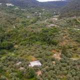  For Sale - (€ 0 / m2), Agricultural 6596 m2 Thasos 8099263 thumb3