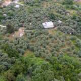  For Sale - (€ 0 / m2), Agricultural 6596 m2 Thasos 8099263 thumb5