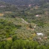  For Sale - (€ 0 / m2), Agricultural 6596 m2 Thasos 8099263 thumb8