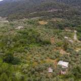  For Sale - (€ 0 / m2), Agricultural 6596 m2 Thasos 8099263 thumb4