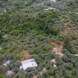  For Sale - (€ 0 / m2), Agricultural 6596 m2 Thasos 8099263 thumb2
