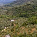  For Sale - (€ 0 / m2), Agricultural 6596 m2 Thasos 8099263 thumb7