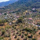  For Sale - (€ 0 / m2), Agricultural 1658 m2 Thasos 8099267 thumb7
