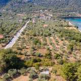  For Sale - (€ 0 / m2), Agricultural 1658 m2 Thasos 8099267 thumb8