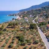  For Sale - (€ 0 / m2), Agricultural 1658 m2 Thasos 8099267 thumb5