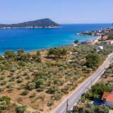 For Sale - (€ 0 / m2), Agricultural 1658 m2 Thasos 8099267 thumb2