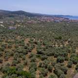  For Sale - (€ 0 / m2), Agricultural 3776 m2 Thasos 8099271 thumb2