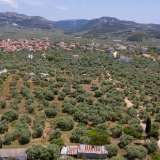  For Sale - (€ 0 / m2), Agricultural 3776 m2 Thasos 8099271 thumb1