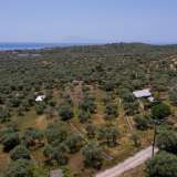  For Sale - (€ 0 / m2), Agricultural 3776 m2 Thasos 8099271 thumb5