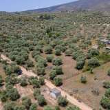  For Sale - (€ 0 / m2), Agricultural 3776 m2 Thasos 8099271 thumb8