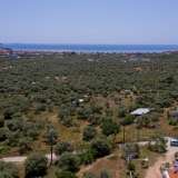  For Sale - (€ 0 / m2), Agricultural 3776 m2 Thasos 8099271 thumb4