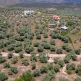  For Sale - (€ 0 / m2), Agricultural 3776 m2 Thasos 8099271 thumb9