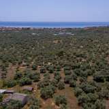  For Sale - (€ 0 / m2), Agricultural 3776 m2 Thasos 8099271 thumb3
