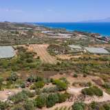  For Sale - (€ 0 / m2), Agricultural 2673.58 m2 Eleftheres 8099279 thumb4