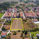  For Sale - (€ 0 / m2), Agricultural 5300 m2 Drama 8099282 thumb3