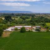  For Sale - (€ 0 / m2), Agricultural 4416 m2 Drama 8099283 thumb8