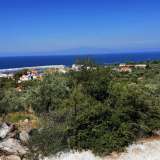  For Sale - (€ 0 / m2), Agricultural 9181.80 m2 Thasos 8099298 thumb5