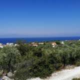  For Sale - (€ 0 / m2), Agricultural 9181.80 m2 Thasos 8099298 thumb2