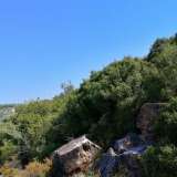  For Sale - (€ 0 / m2), Agricultural 9181.80 m2 Thasos 8099298 thumb8