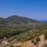  For Sale - (€ 0 / m2), Agricultural 5321.35 m2 Thasos 8099303 thumb8