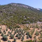  For Sale - (€ 0 / m2), Agricultural 8140 m2 Thasos 8099305 thumb7