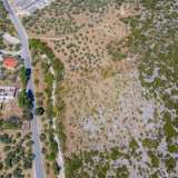  For Sale - (€ 0 / m2), Agricultural 8140 m2 Thasos 8099305 thumb6