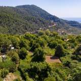  For Sale - (€ 0 / m2), Agricultural 380.59 m2 Thasos 8099324 thumb9