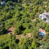  For Sale - (€ 0 / m2), Agricultural 380.59 m2 Thasos 8099324 thumb5