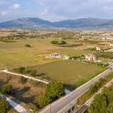  For Sale - (€ 0 / m2), Agricultural 6440 m2 Drama 8099325 thumb9