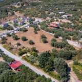  For Sale - (€ 0 / m2), Agricultural 5181 m2 Eleftheres 8099330 thumb7
