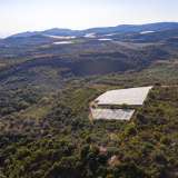  For Sale - (€ 0 / m2), Agricultural 11875 m2 Eleftheres 8099339 thumb2