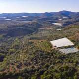  For Sale - (€ 0 / m2), Agricultural 11875 m2 Eleftheres 8099339 thumb7