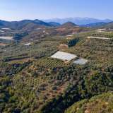  For Sale - (€ 0 / m2), Agricultural 11875 m2 Eleftheres 8099339 thumb0