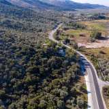  For Sale - (€ 0 / m2), Agricultural 6951.13 m2 Thasos 8099356 thumb7