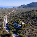  For Sale - (€ 0 / m2), Agricultural 6951.13 m2 Thasos 8099356 thumb9