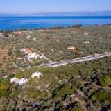  For Sale - (€ 0 / m2), Agricultural 6951.13 m2 Thasos 8099356 thumb8