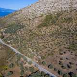  For Sale - (€ 0 / m2), Agricultural 9995.53 m2 Thasos 8099357 thumb2