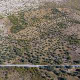  For Sale - (€ 0 / m2), Agricultural 9995.53 m2 Thasos 8099357 thumb8
