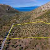  For Sale - (€ 0 / m2), Agricultural 9995.53 m2 Thasos 8099357 thumb0