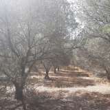  For Sale - (€ 0 / m2), Agricultural 6036 m2 Kavala 8099360 thumb1